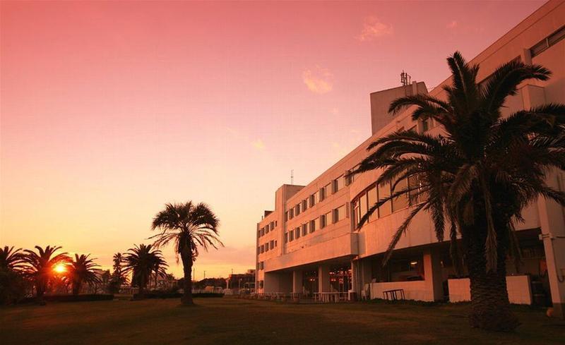 Shirahama Ocean Resort Chiba Dış mekan fotoğraf